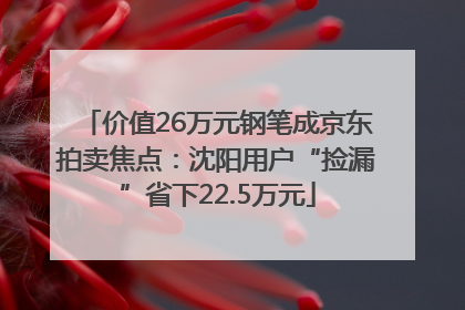 价值26万元钢笔成京东拍卖焦点：沈阳用户“捡漏”省下22.5万元