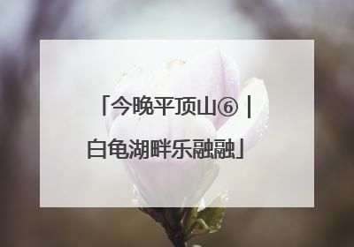 今晚平顶山⑥｜白龟湖畔乐融融