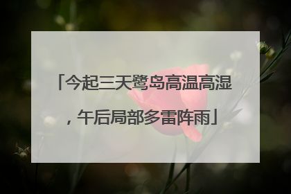 今起三天鹭岛高温高湿，午后局部多雷阵雨