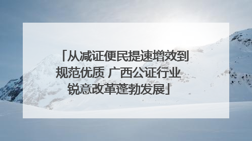 从减证便民提速增效到规范优质 广西公证行业锐意改革蓬勃发展