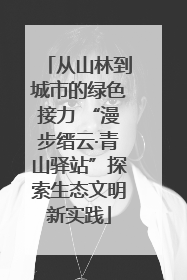 从山林到城市的绿色接力 “漫步缙云·青山驿站”探索生态文明新实践