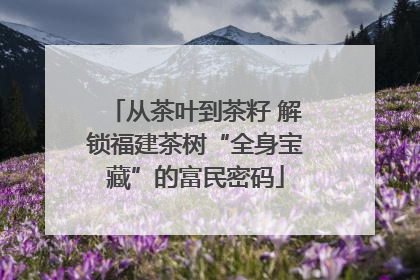 从茶叶到茶籽 解锁福建茶树“全身宝藏”的富民密码
