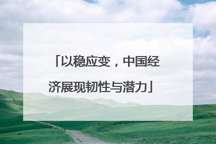 以稳应变，中国经济展现韧性与潜力