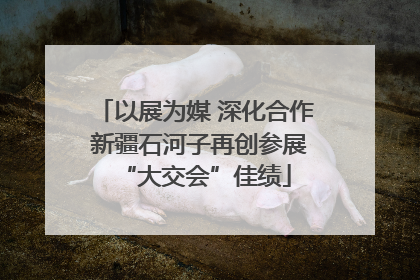 以展为媒 深化合作 新疆石河子再创参展“大交会”佳绩