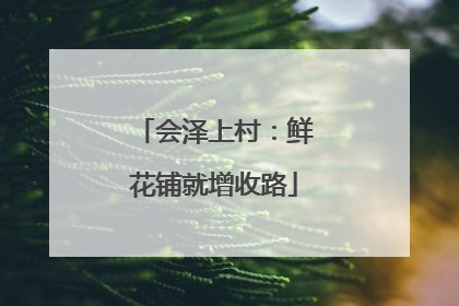 会泽上村：鲜花铺就增收路