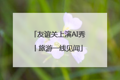 友谊关上演AI秀丨旅游一线见闻