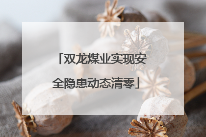 双龙煤业实现安全隐患动态清零