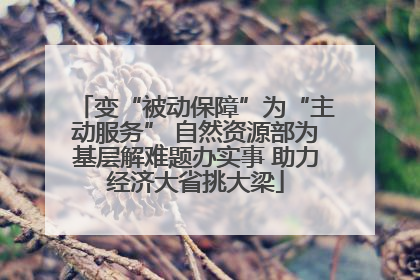 变“被动保障”为“主动服务” 自然资源部为基层解难题办实事 助力经济大省挑大梁