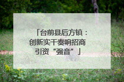 台前县后方镇：创新实干奏响招商引资“强音”
