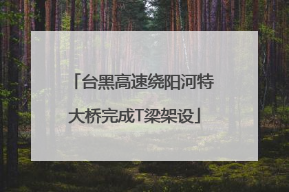 台黑高速绕阳河特大桥完成T梁架设