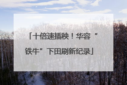 十倍速插秧！华容“铁牛”下田刷新纪录