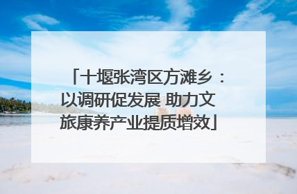 十堰张湾区方滩乡：以调研促发展 助力文旅康养产业提质增效