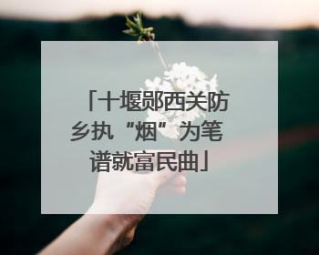十堰郧西关防乡执“烟”为笔 谱就富民曲