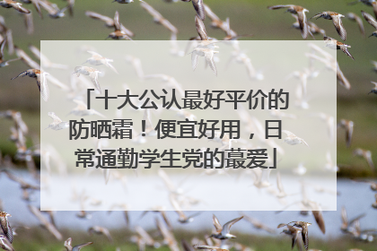 十大公认最好平价的防晒霜！便宜好用，日常通勤学生党的蕞爱
