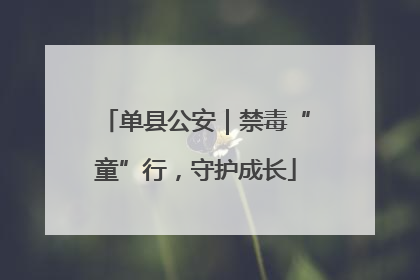 单县公安｜禁毒“童”行，守护成长