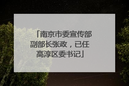 南京市委宣传部副部长张政，已任高淳区委书记