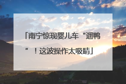 南宁惊现婴儿车“遛鸭”！这波操作太吸睛