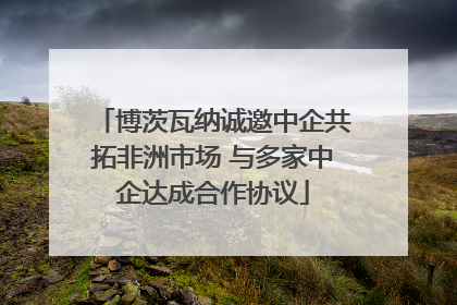 博茨瓦纳诚邀中企共拓非洲市场 与多家中企达成合作协议