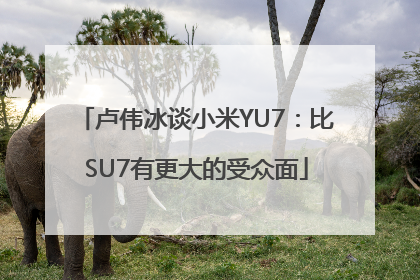 卢伟冰谈小米YU7：比SU7有更大的受众面