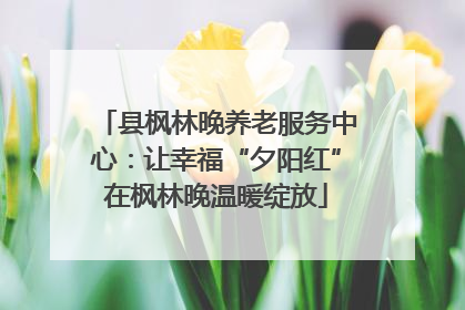 县枫林晚养老服务中心：让幸福“夕阳红”在枫林晚温暖绽放