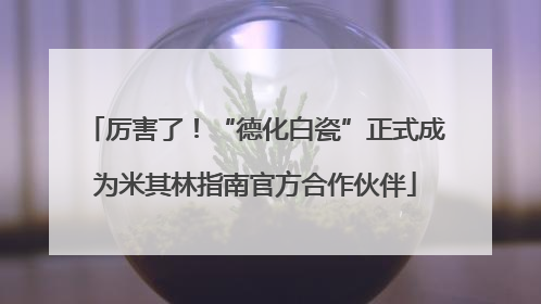厉害了！“德化白瓷”正式成为米其林指南官方合作伙伴