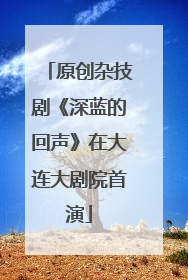 原创杂技剧《深蓝的回声》在大连大剧院首演
