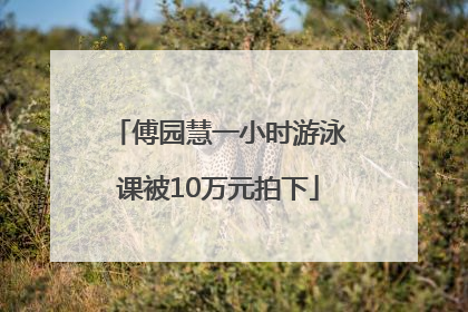 傅园慧一小时游泳课被10万元拍下