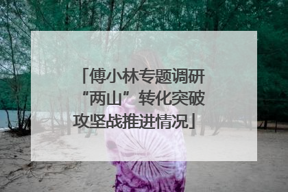 傅小林专题调研“两山”转化突破攻坚战推进情况