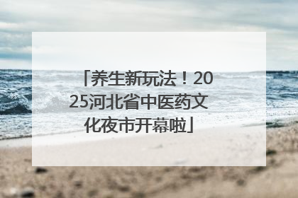 养生新玩法！2025河北省中医药文化夜市开幕啦