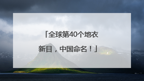 全球第40个地衣新目，中国命名！
