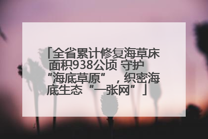 全省累计修复海草床面积938公顷 守护“海底草原”，织密海底生态“一张网”