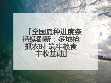全国夏种进度条持续刷新：多地抢抓农时 筑牢粮食丰收基础
