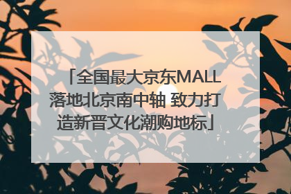 全国最大京东MALL落地北京南中轴 致力打造新晋文化潮购地标