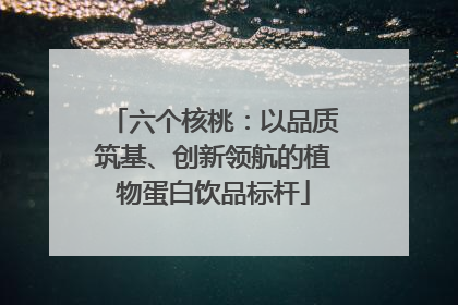六个核桃：以品质筑基、创新领航的植物蛋白饮品标杆