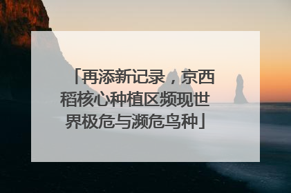 再添新记录，京西稻核心种植区频现世界极危与濒危鸟种