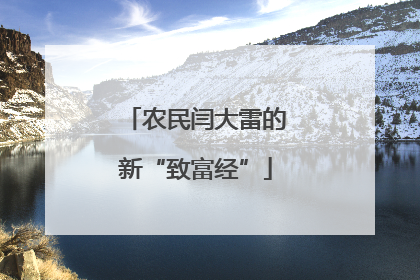 农民闫大雷的新“致富经”