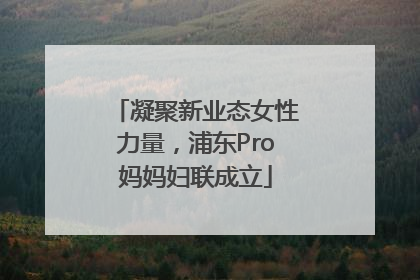 凝聚新业态女性力量，浦东Pro妈妈妇联成立