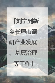 刘宁到新乡长垣市调研产业发展、基层治理等工作