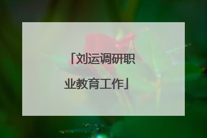 刘运调研职业教育工作