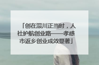 创在澴川正当时，人社护航创业路——孝感市返乡创业成效显著