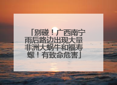 别碰！广西南宁雨后路边出现大量非洲大蜗牛和福寿螺！有致命危害