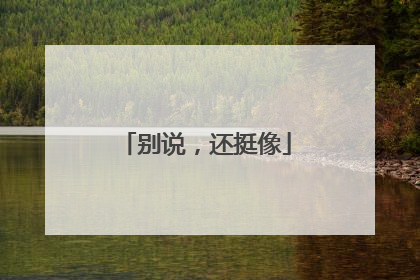 别说，还挺像