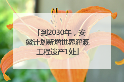 到2030年，安徽计划新增世界灌溉工程遗产1处