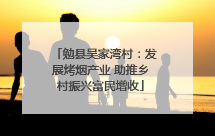 勉县吴家湾村：发展烤烟产业 助推乡村振兴富民增收