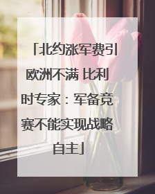 北约涨军费引欧洲不满 比利时专家：军备竞赛不能实现战略自主