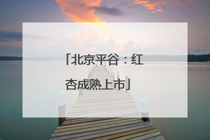 北京平谷：红杏成熟上市