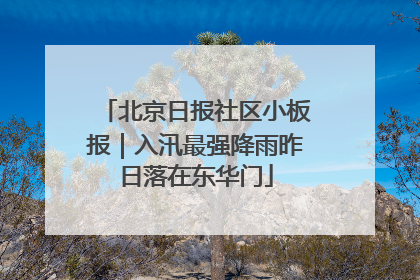 北京日报社区小板报｜入汛最强降雨昨日落在东华门