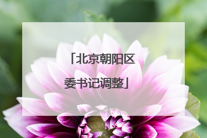北京朝阳区委书记调整