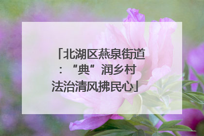 北湖区燕泉街道：“典”润乡村 法治清风拂民心