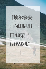 埃尔多安：向印尼出口48架“五代战机”